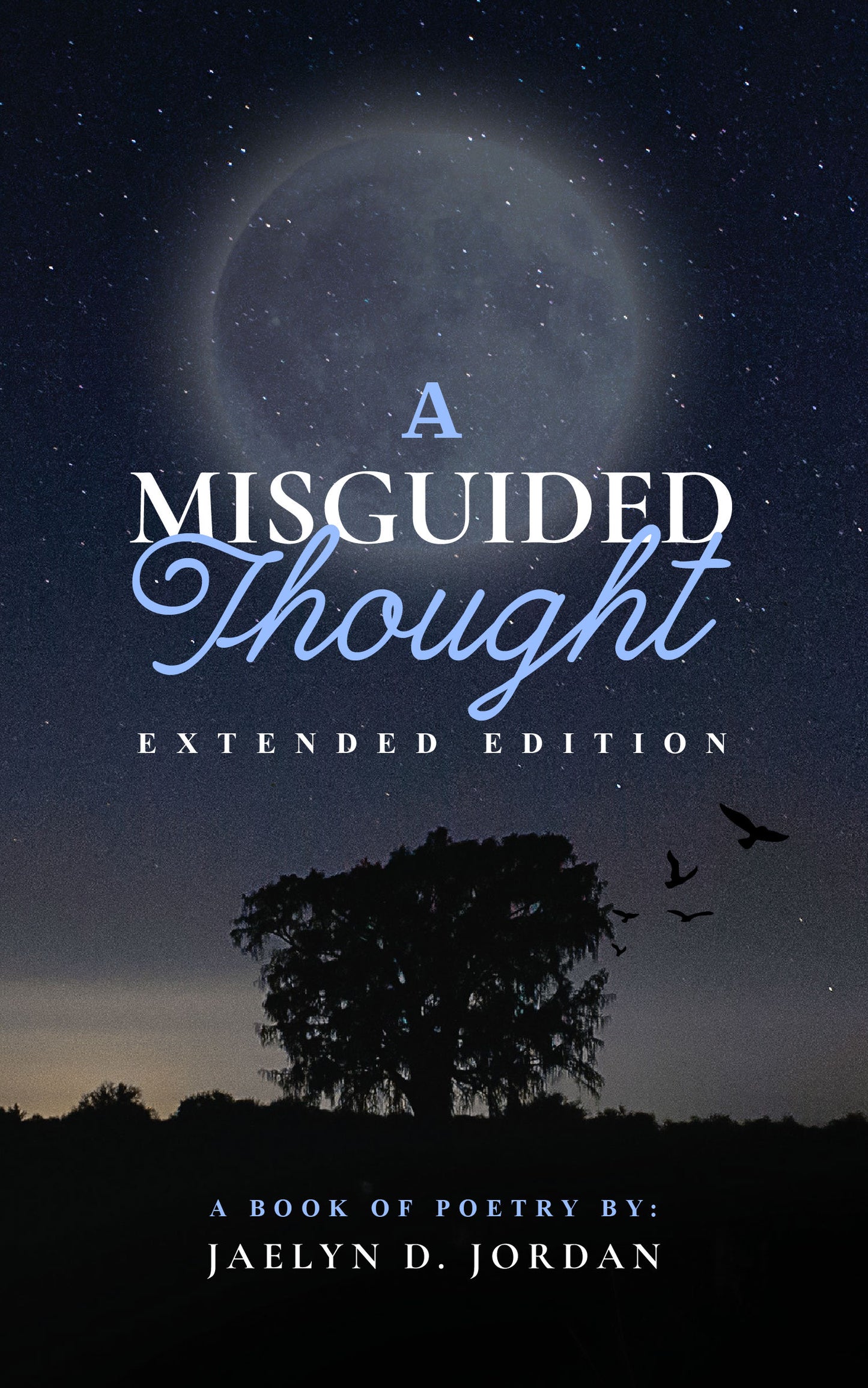A Misguided Thought extended edition