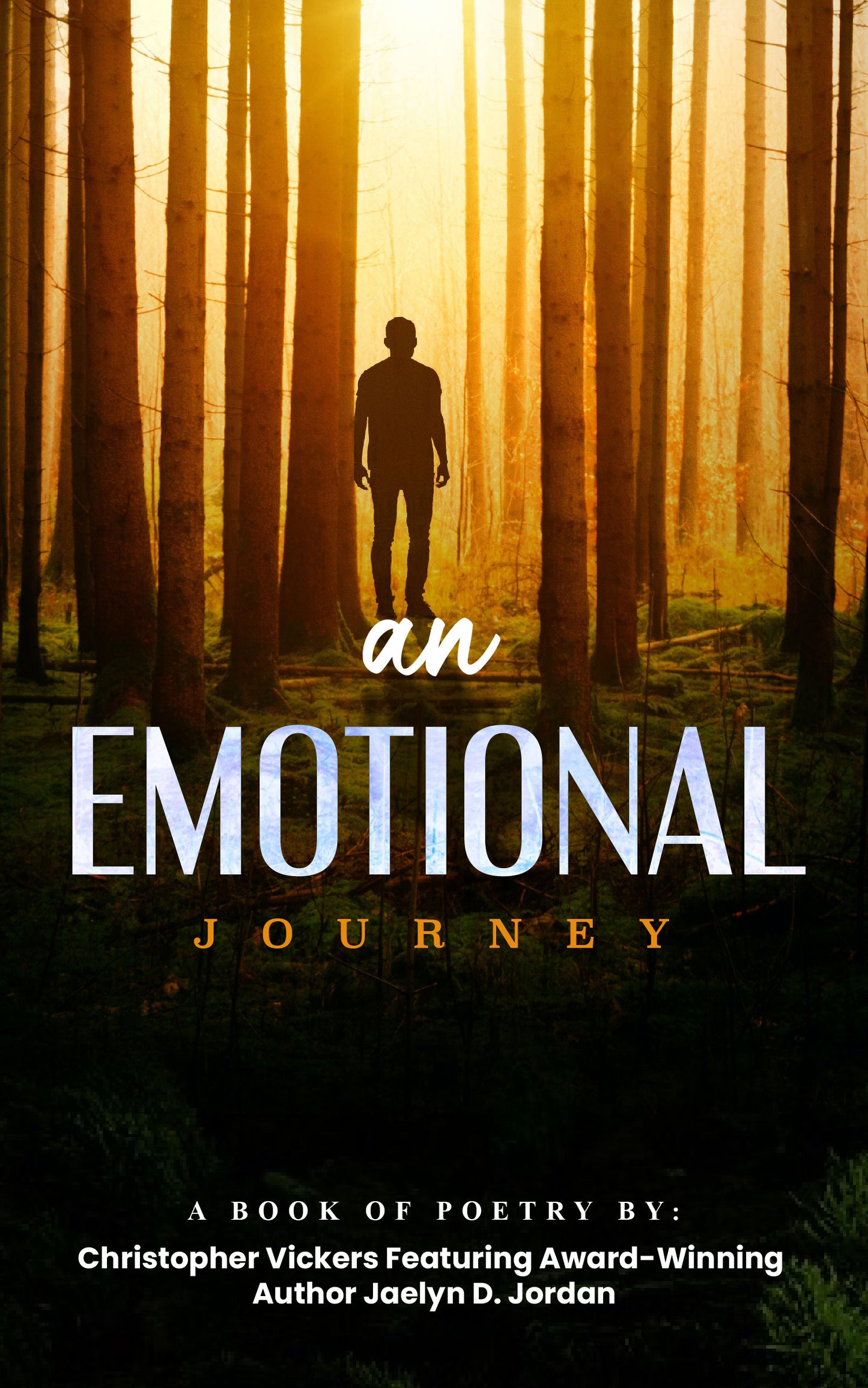 An Emotional Journey